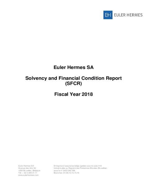 euler hermes financial statements|Euler Hermes financial condition report.